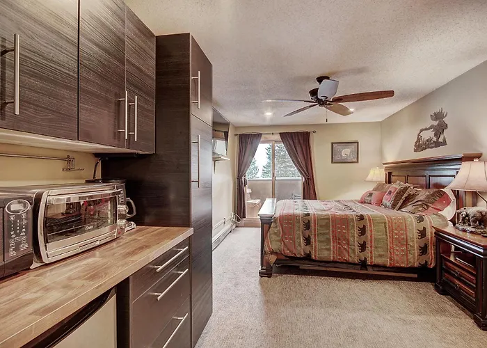 Cm416m 8br Copper Mtn Pet Friendly Apartment