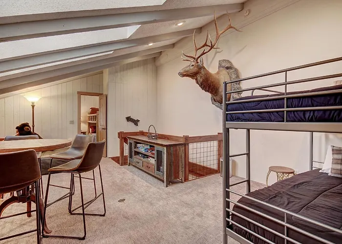 Cm416m 8br Copper Mtn Pet Friendly Apartment