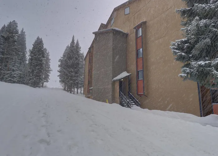 Cm416m 8br Copper Mtn Pet Friendly Apartment